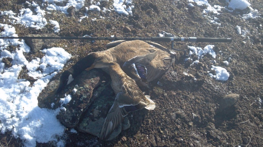 2013-01-12_goose & fshn pole.jpg